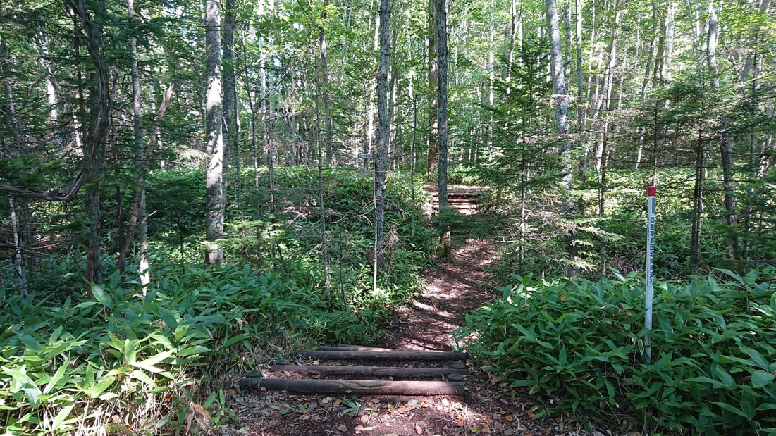 タウシュベツ川橋梁3