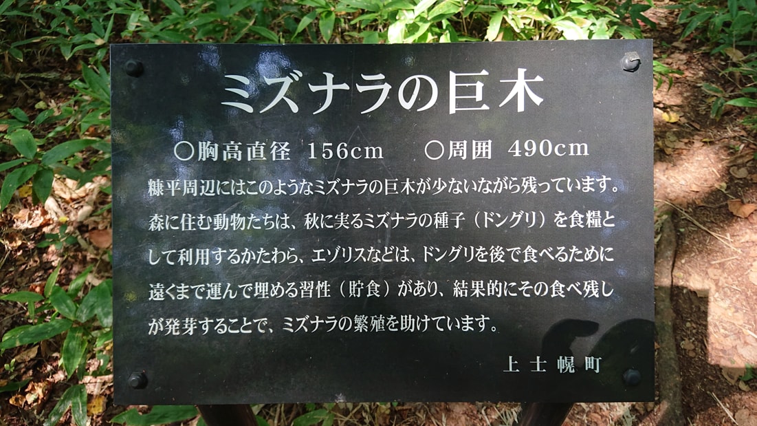 タウシュベツ川橋梁7