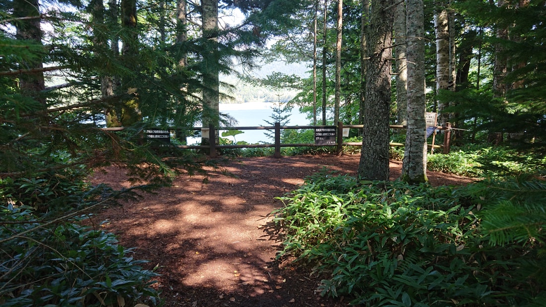 タウシュベツ川橋梁8