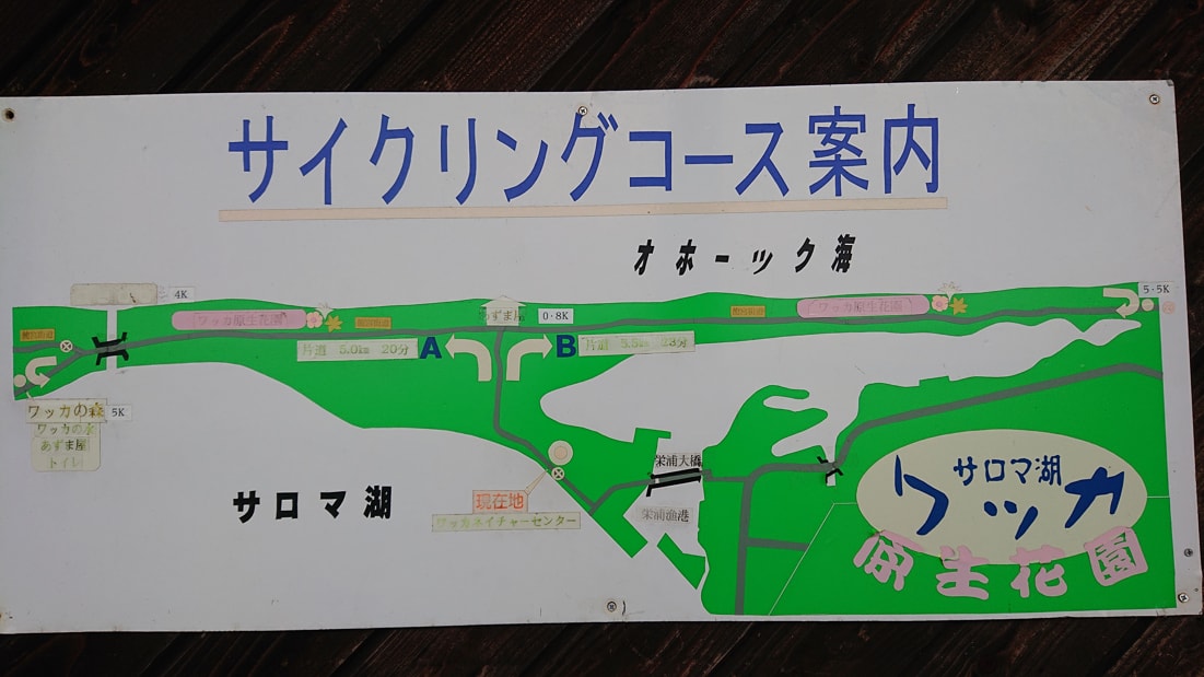 ワッカ原生花園4