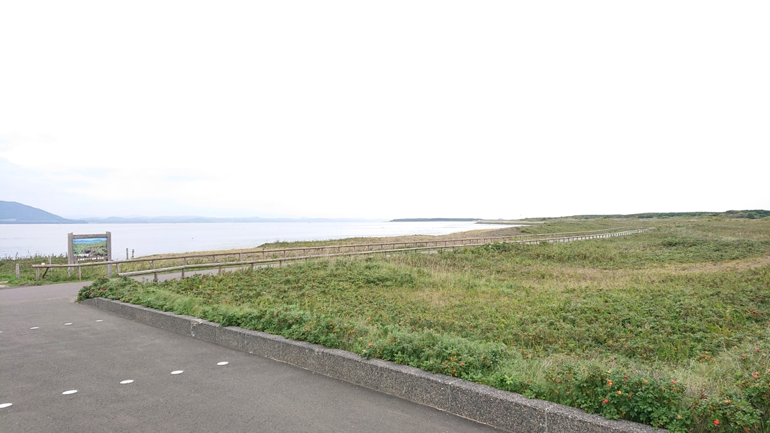 ワッカ原生花園5