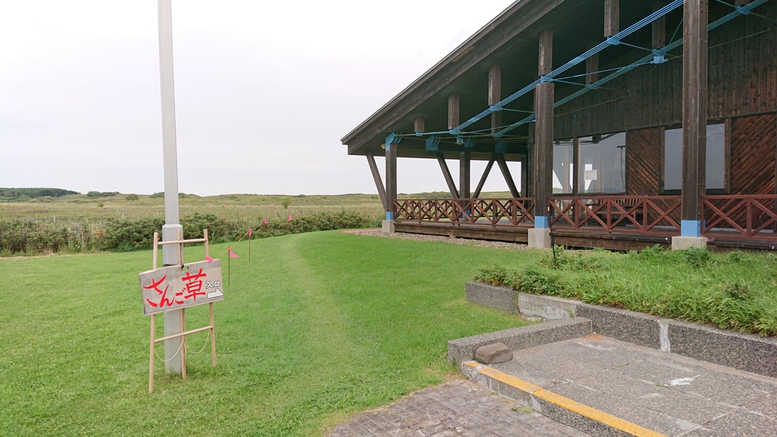 ワッカ原生花園6