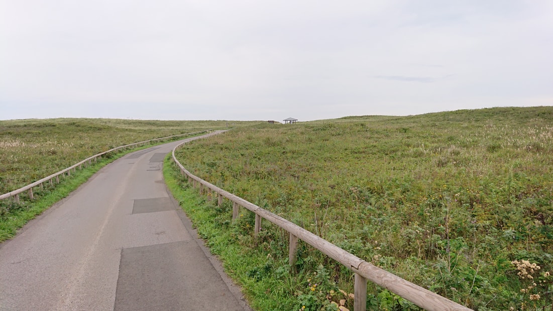 ワッカ原生花園11