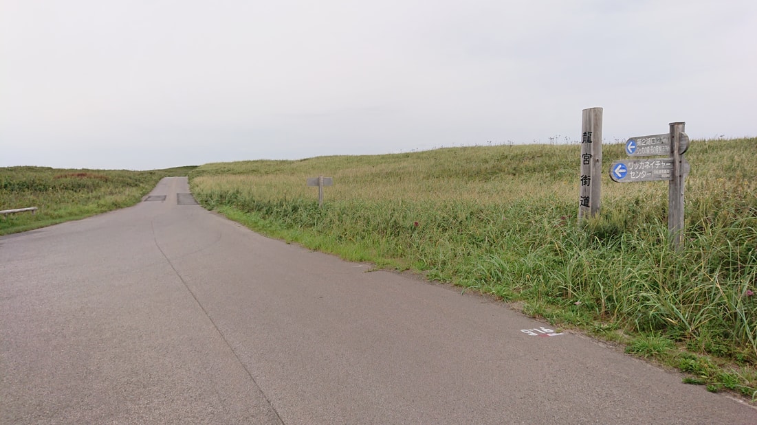 ワッカ原生花園12