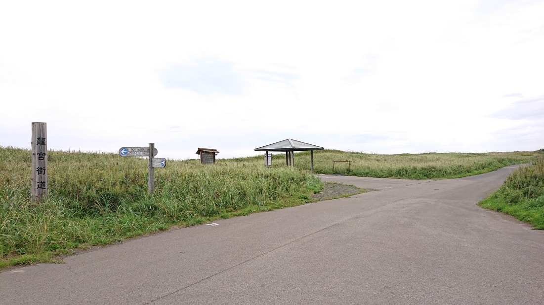 ワッカ原生花園13