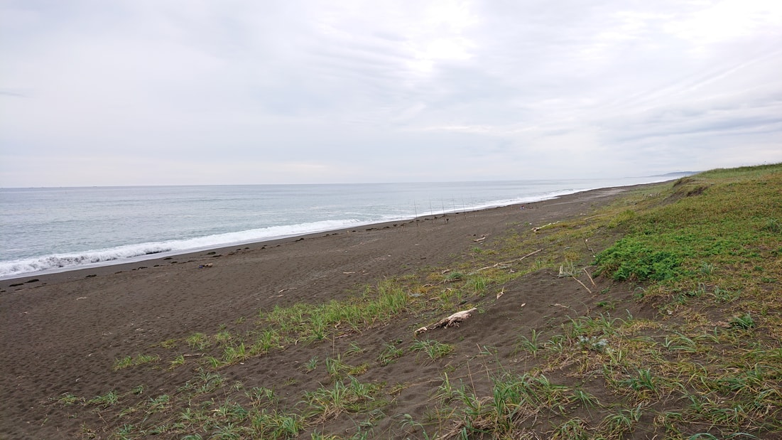 ワッカ原生花園16