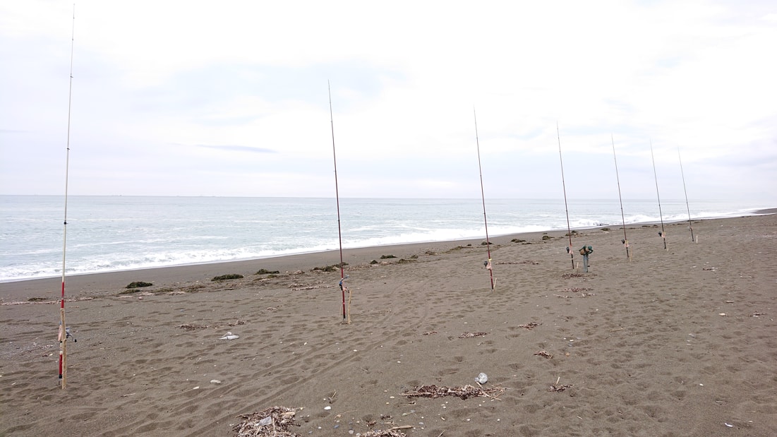 ワッカ原生花園17