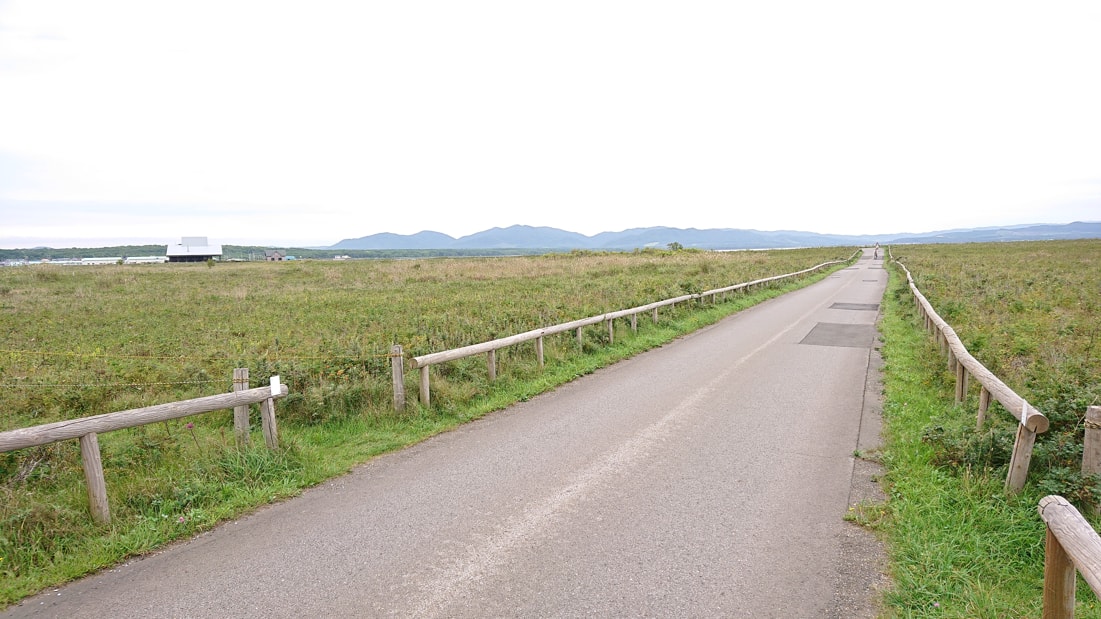 ワッカ原生花園18