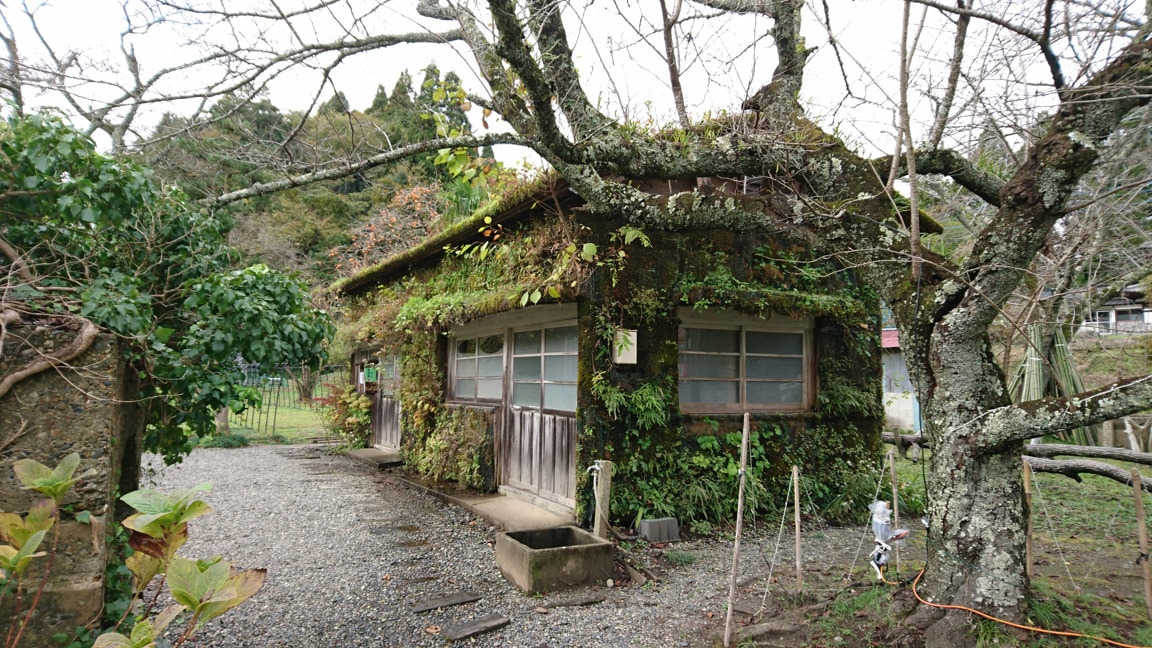 クオードの森10