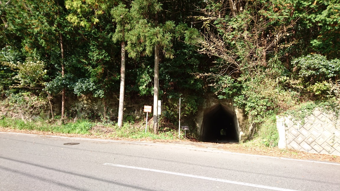 クオードの森11