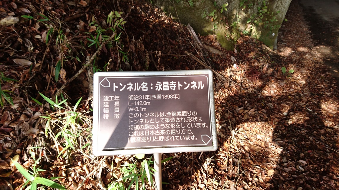 クオードの森12