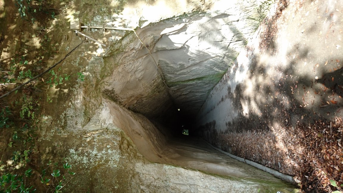 クオードの森13