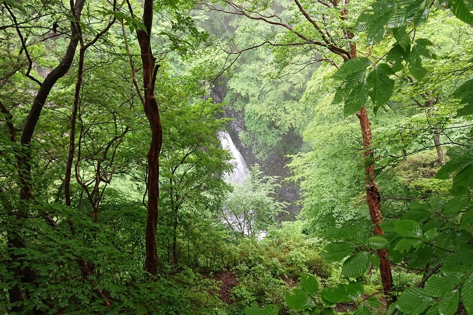 大滝自然公園21