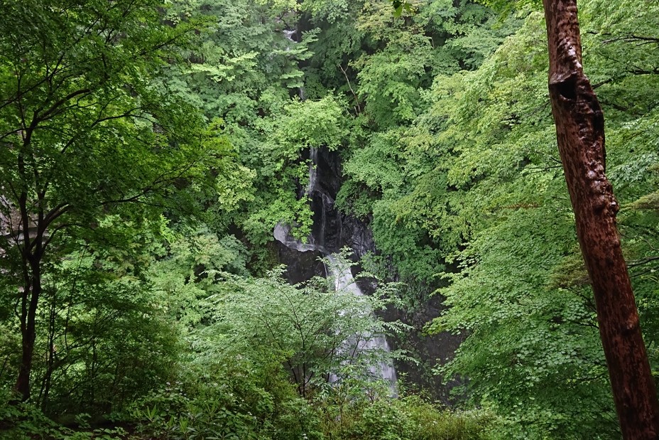 大滝自然公園23