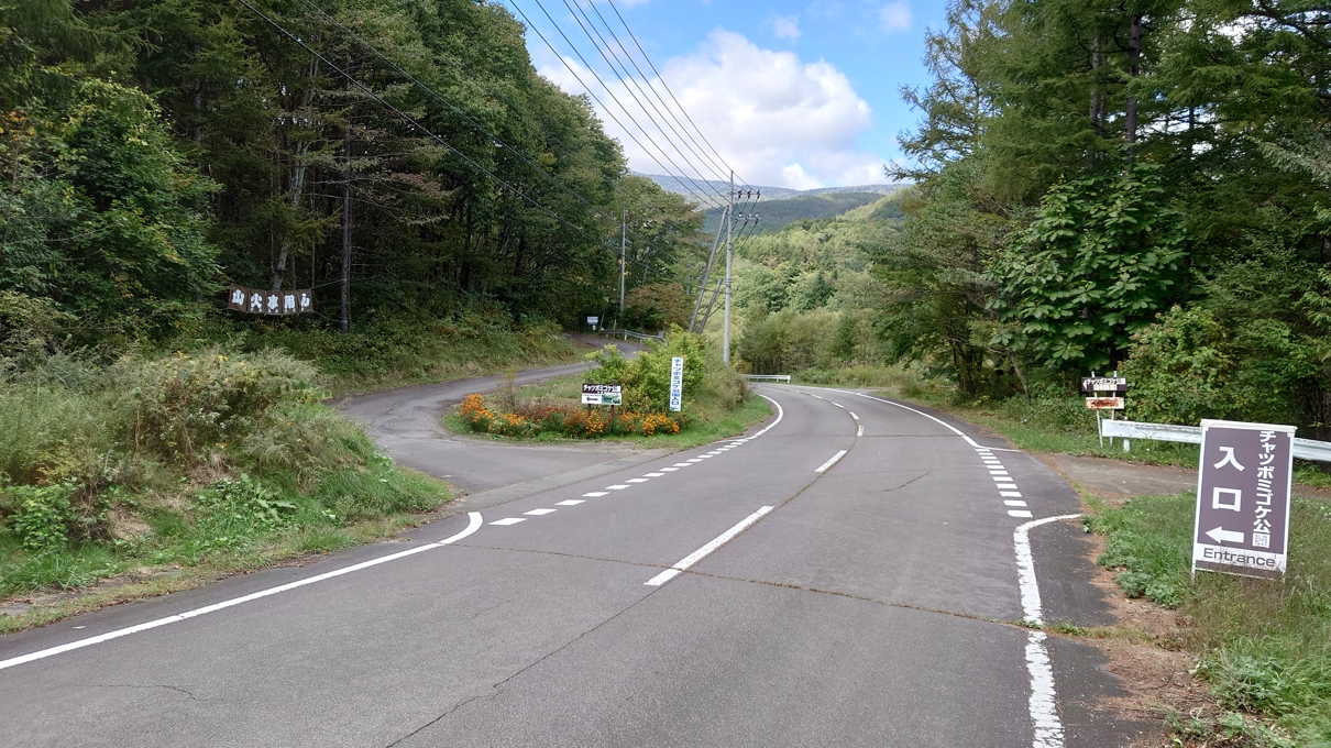 チャツボミゴケ公園1