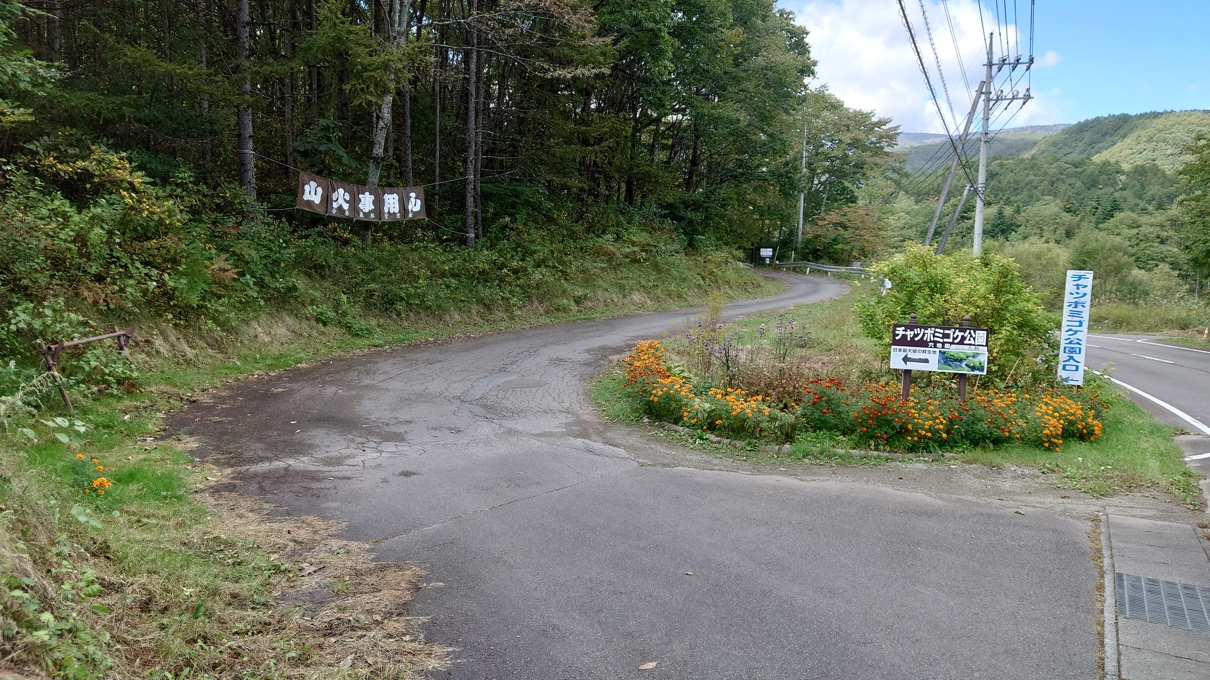 チャツボミゴケ公園2