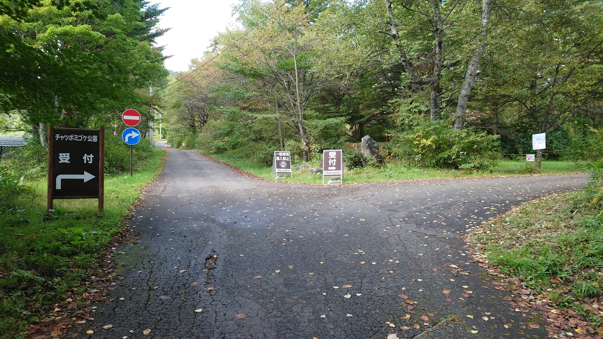 チャツボミゴケ公園3