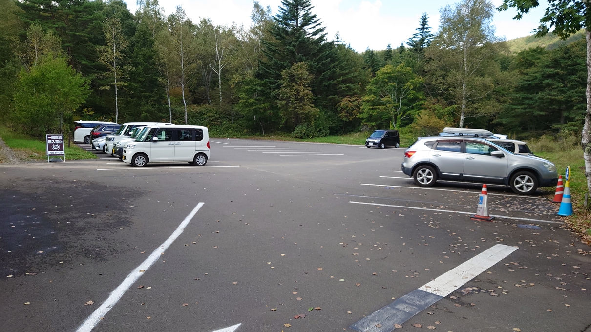 チャツボミゴケ公園4