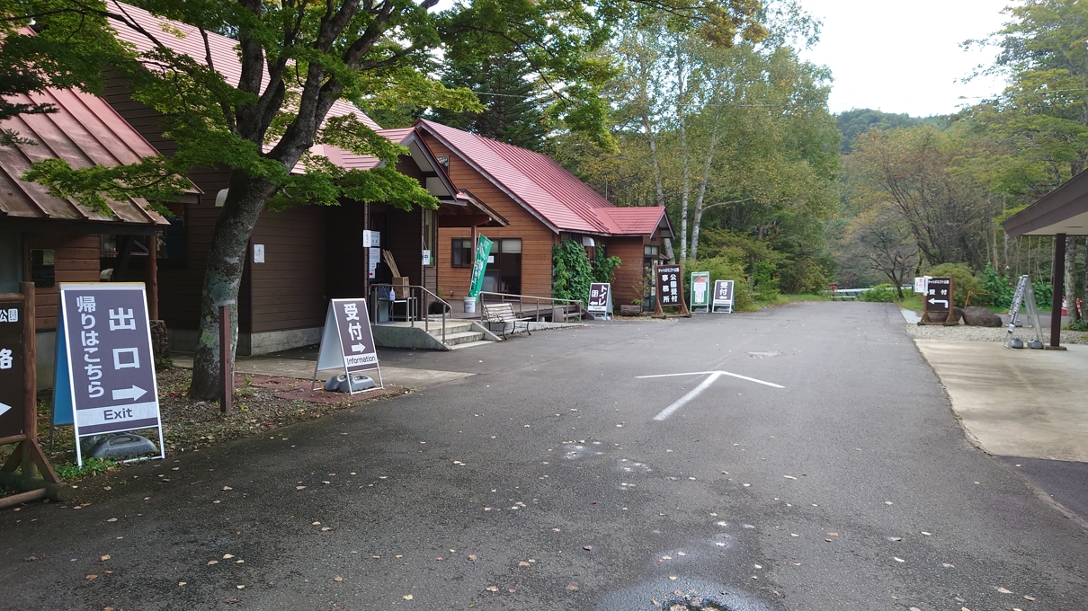 チャツボミゴケ公園5