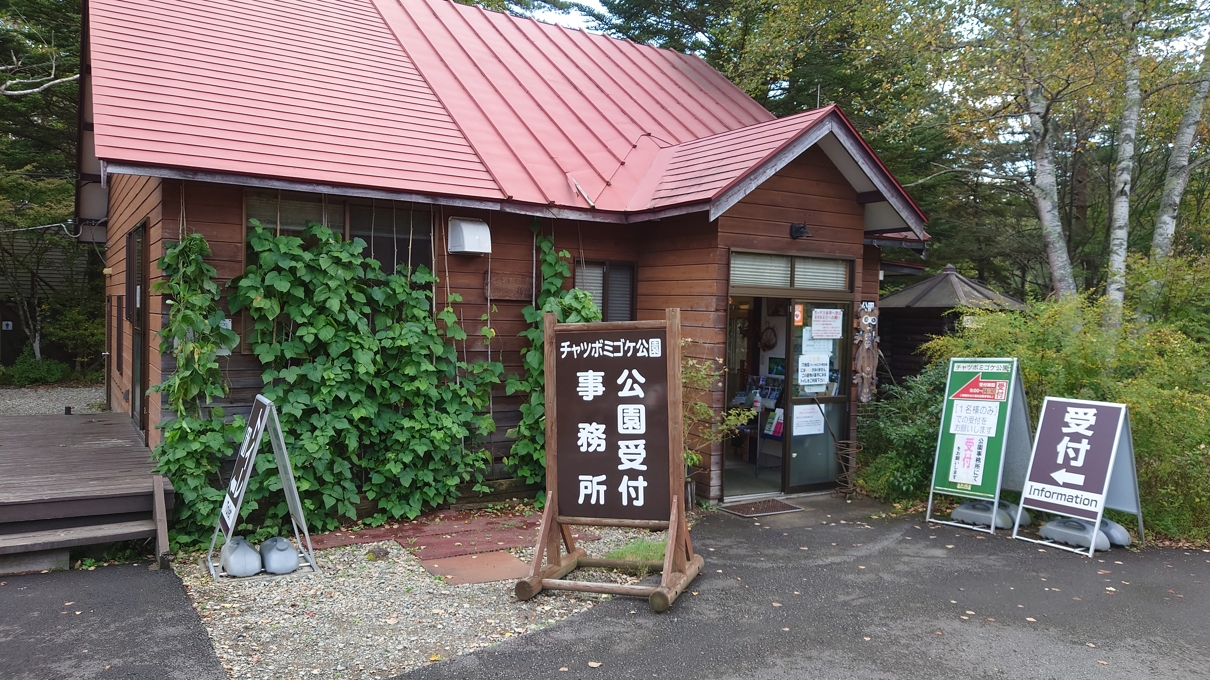 チャツボミゴケ公園6