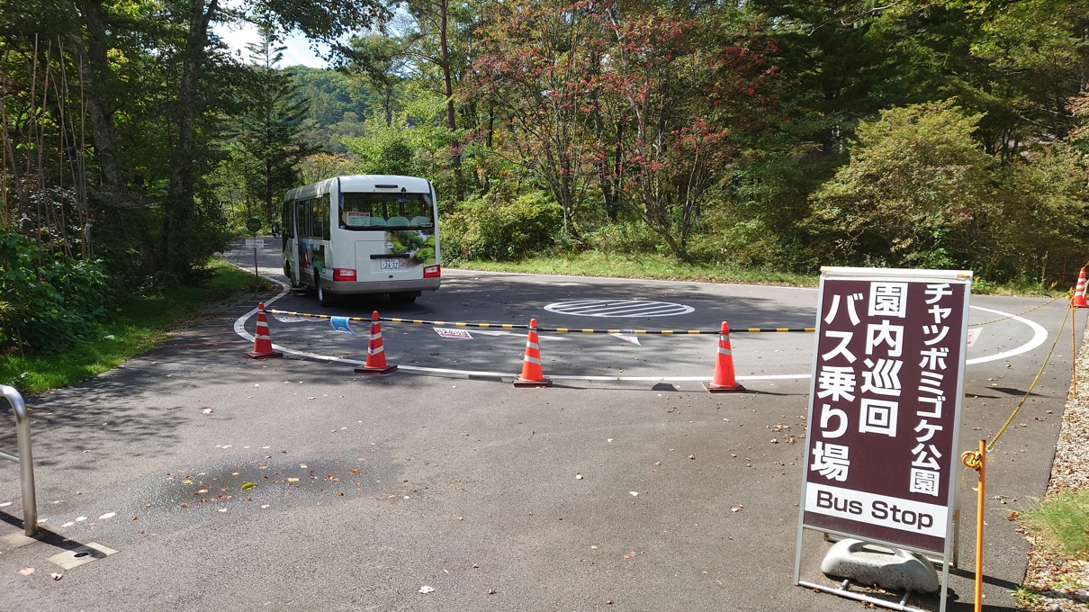 チャツボミゴケ公園7