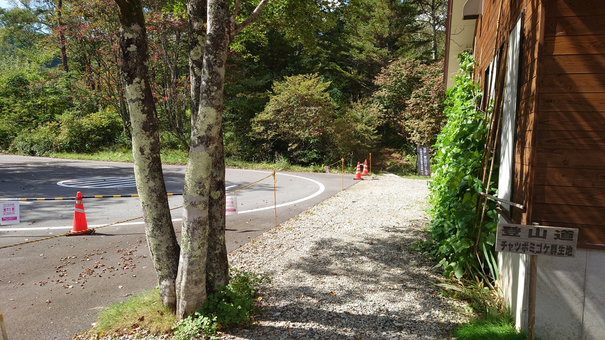 チャツボミゴケ公園8