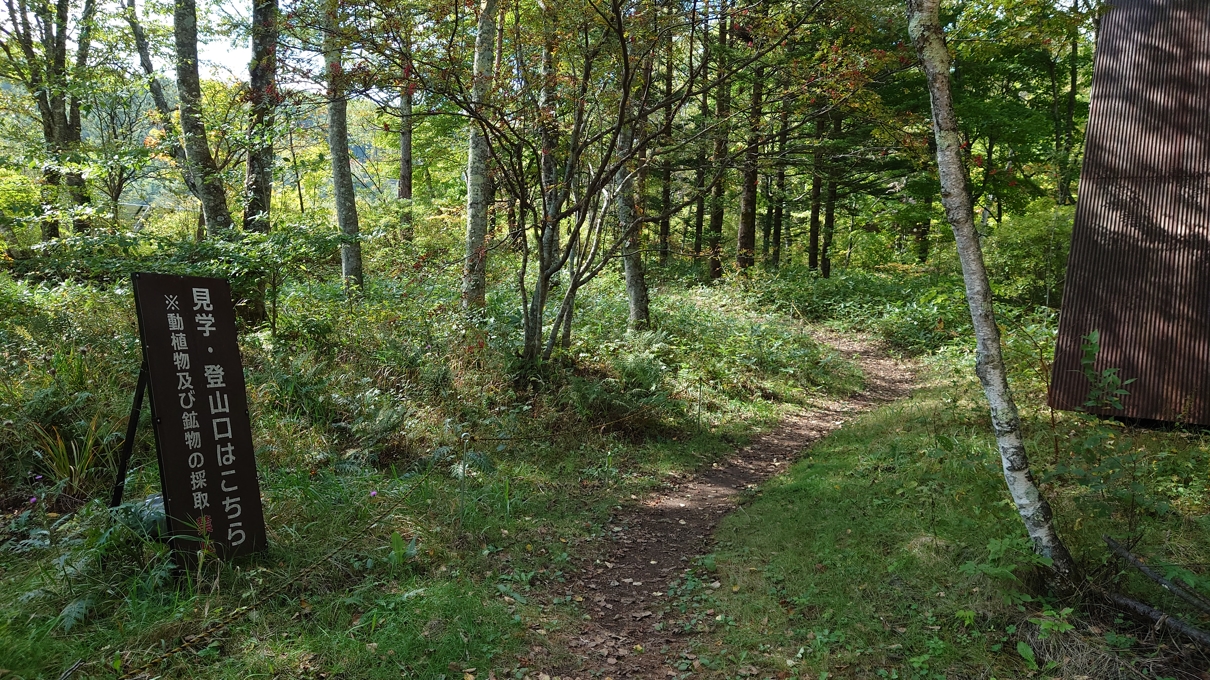 チャツボミゴケ公園9