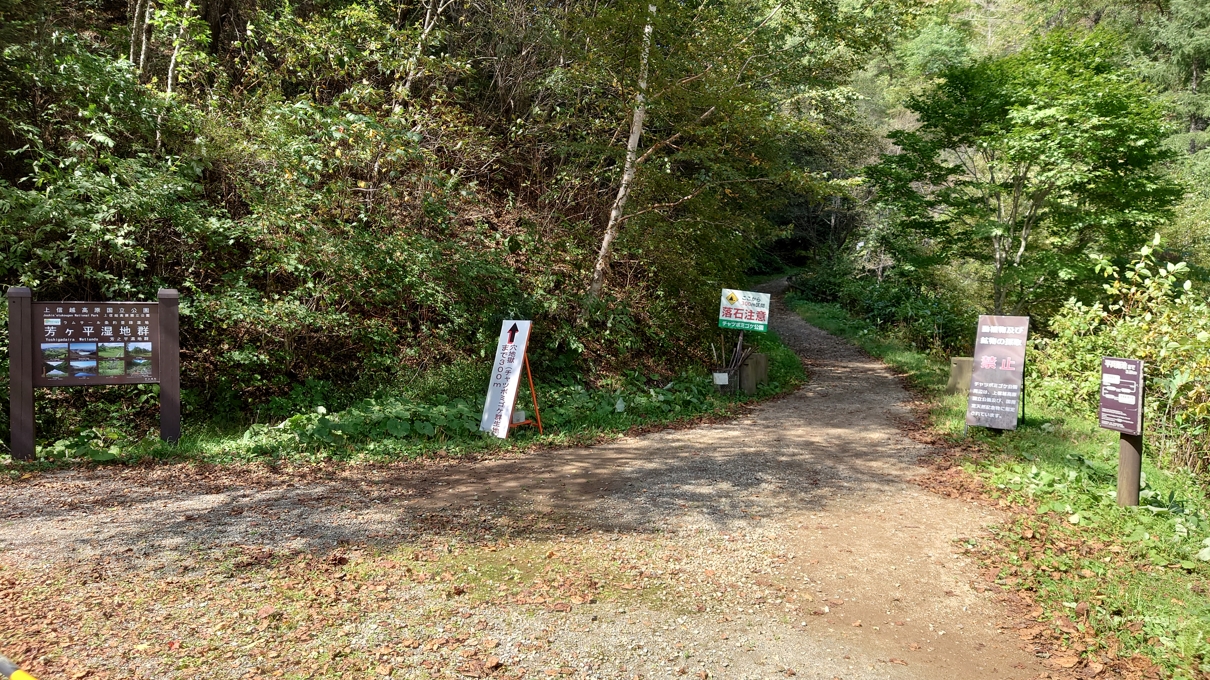 チャツボミゴケ公園12