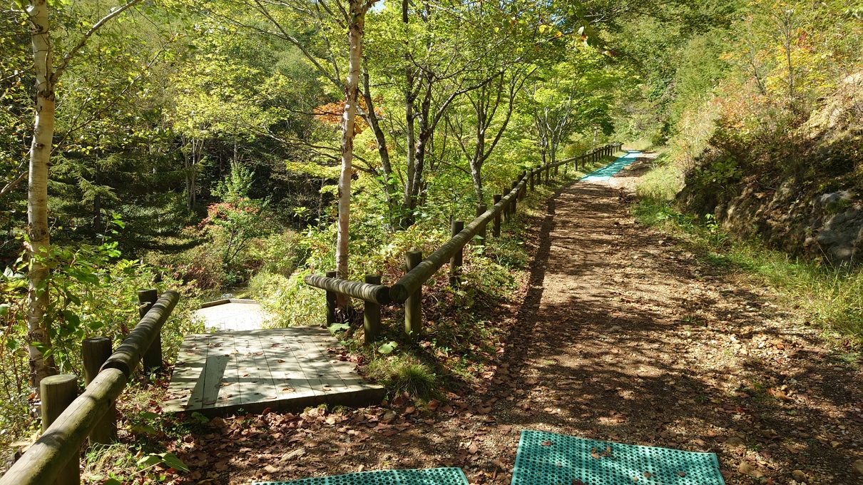 チャツボミゴケ公園19