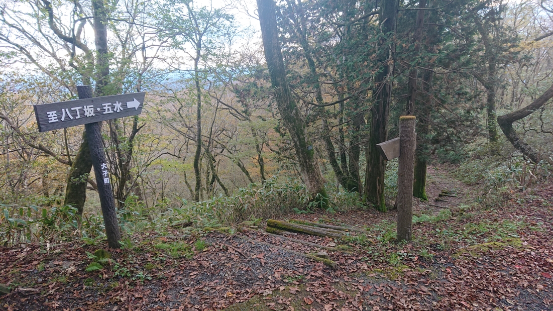 八溝山展望台11