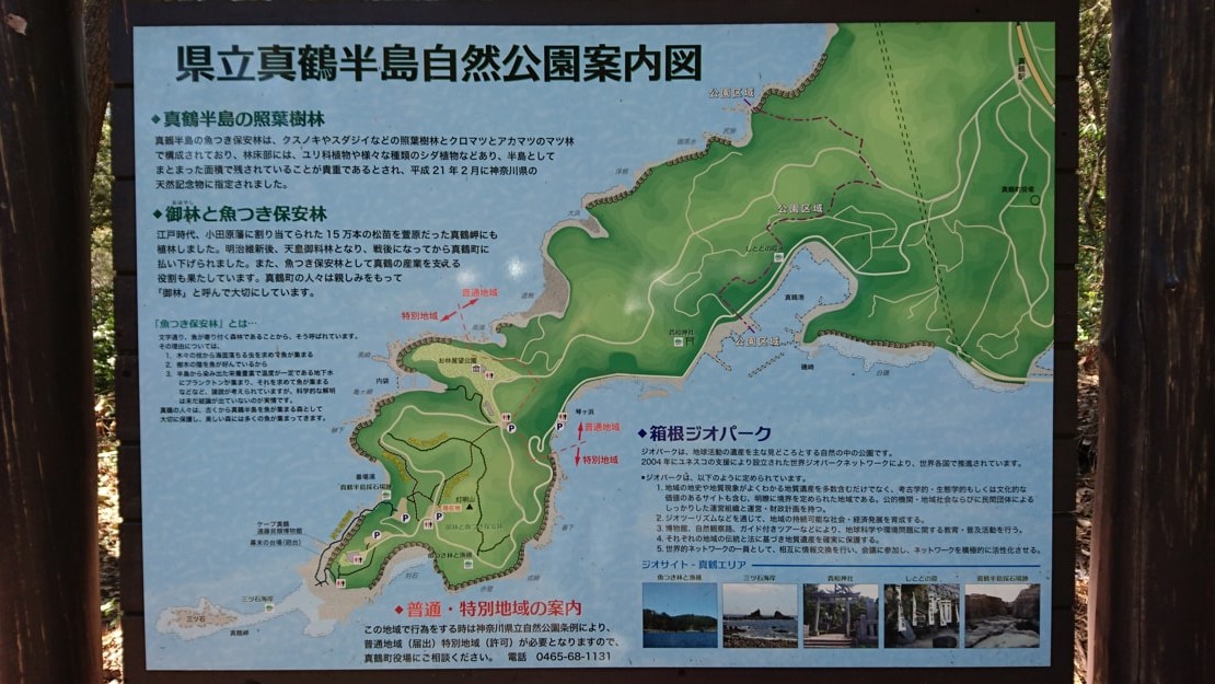 三ツ石海岸1