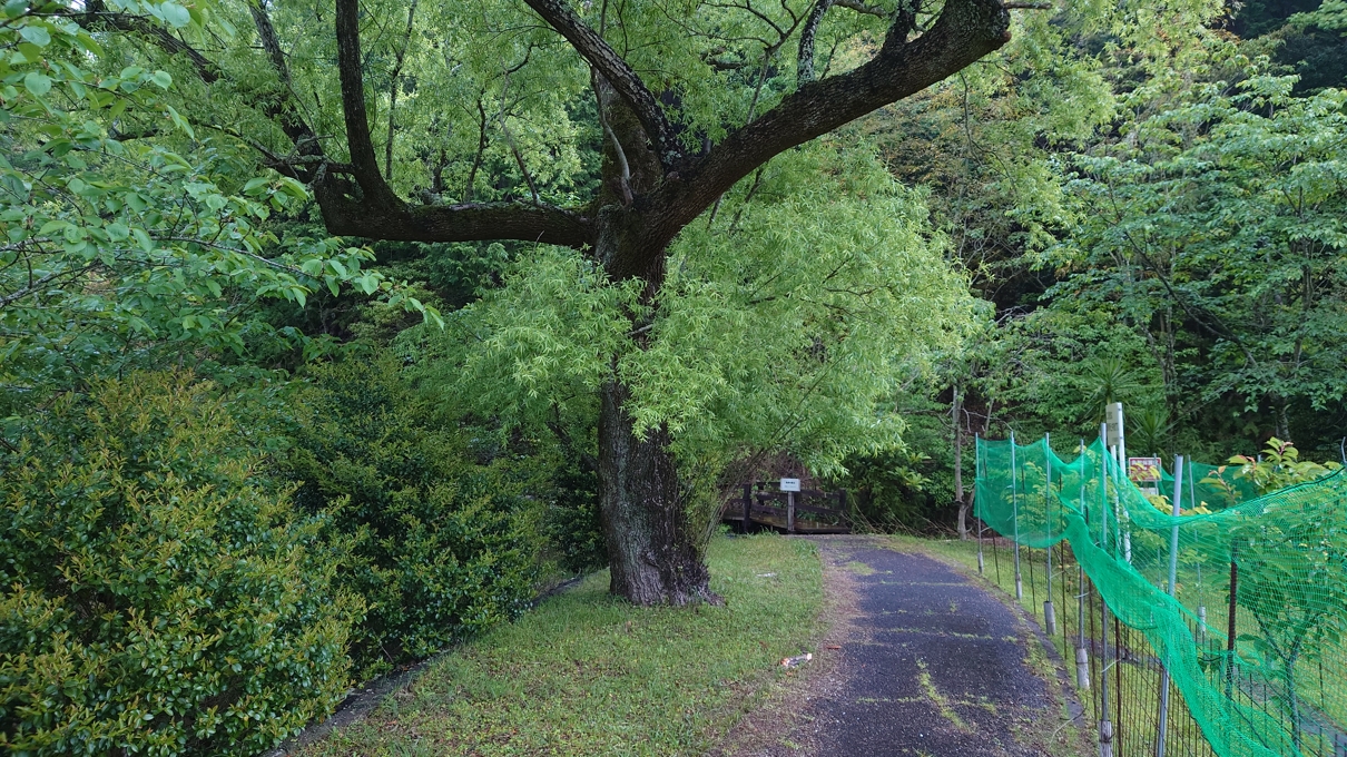 浮島パークなんとう9