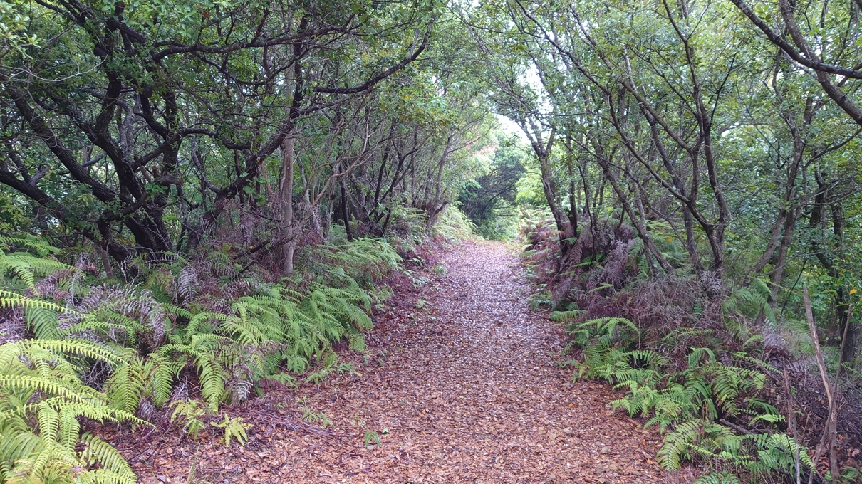 浮島パークなんとう14
