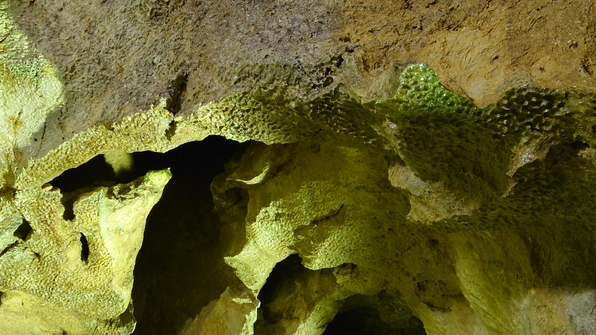 戸津井鍾乳洞18