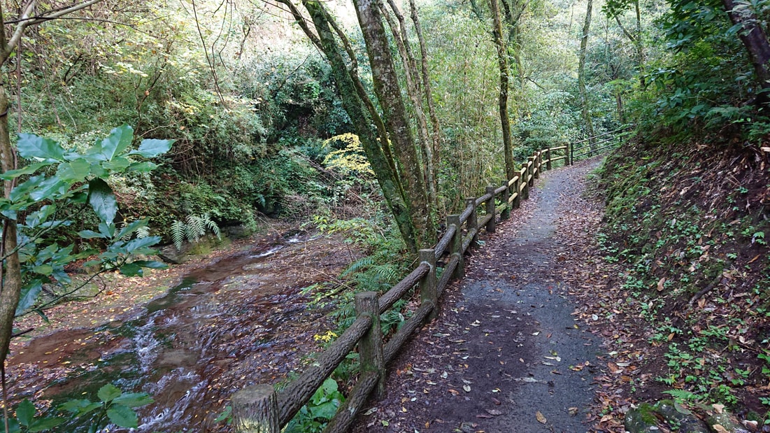 神川大滝公園14