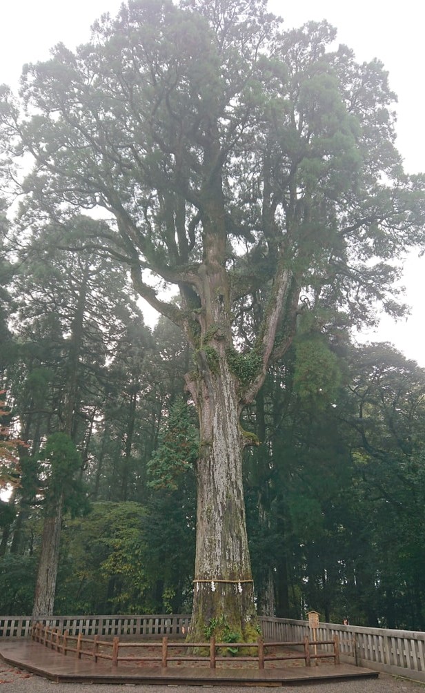 霧島神宮11