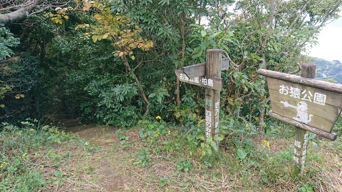 大堂山展望台12