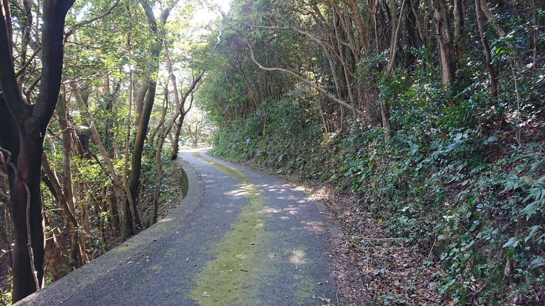 大堂山展望台14