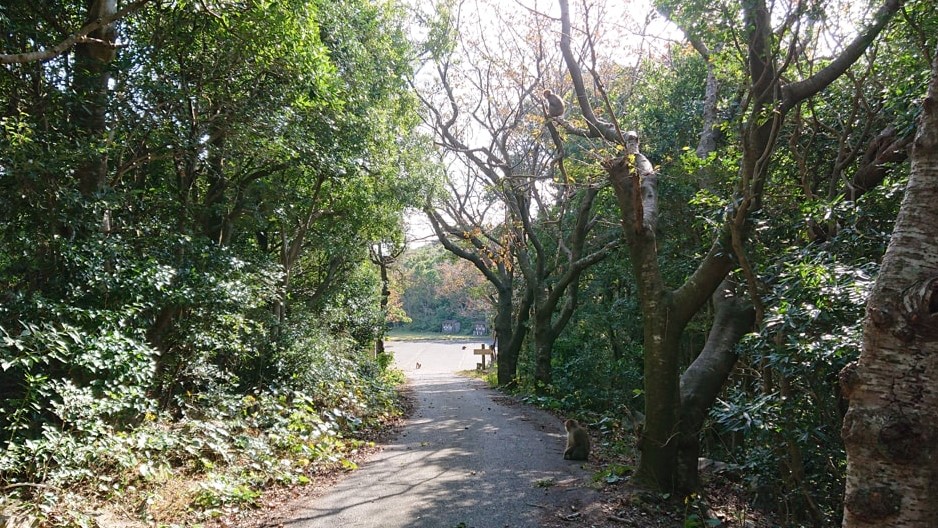 大堂山展望台15