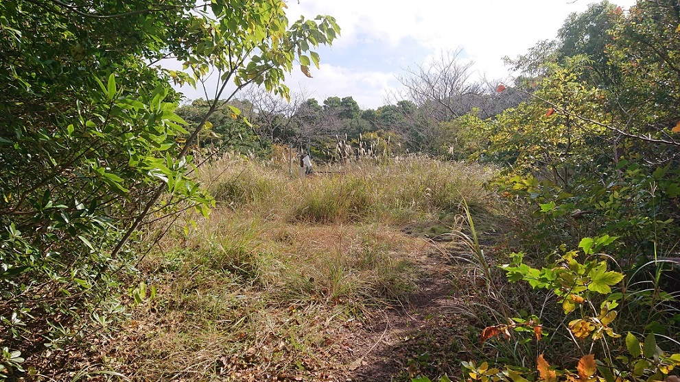 大堂山展望台21