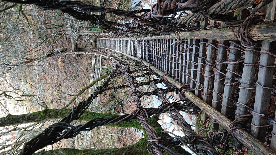二重かずら橋15