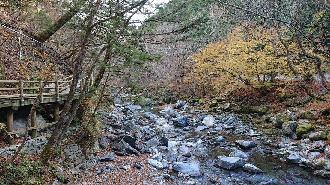 二重かずら橋17