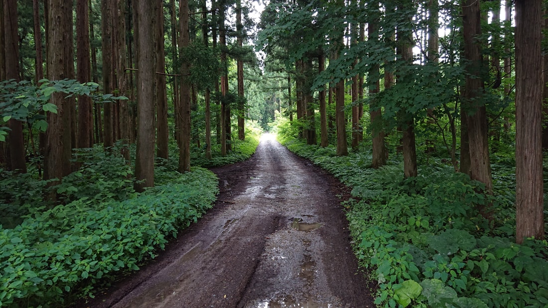 奥奥八九郎温泉3