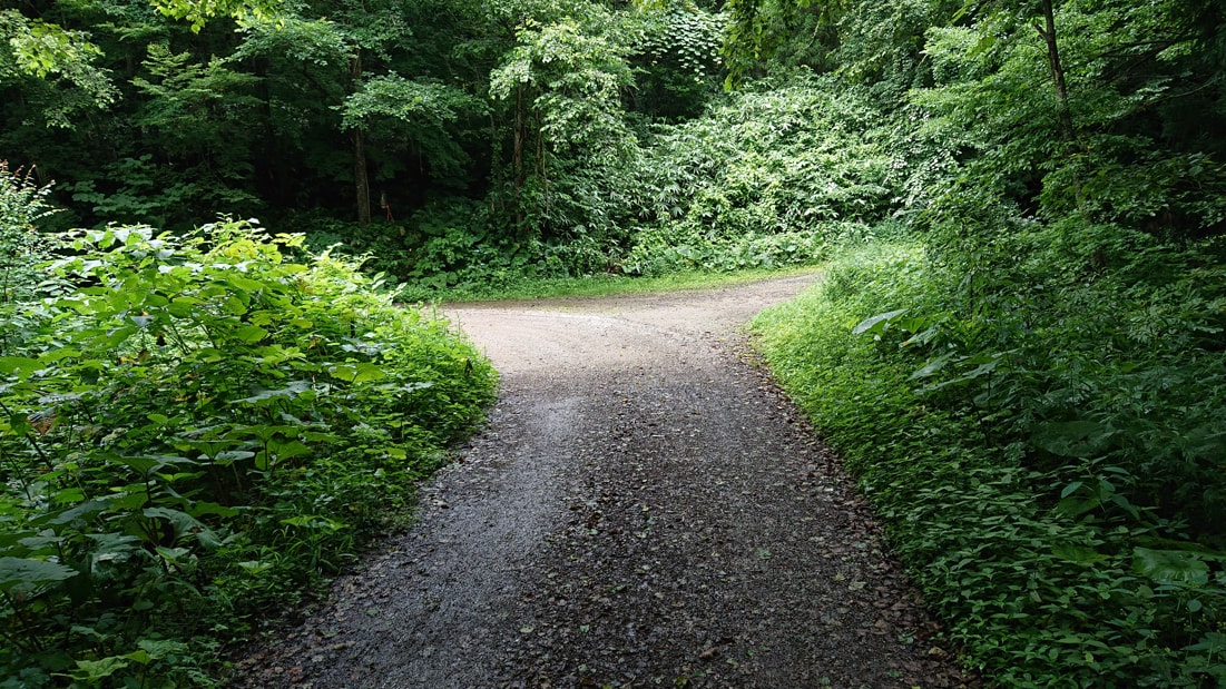 奥奥八九郎温泉6