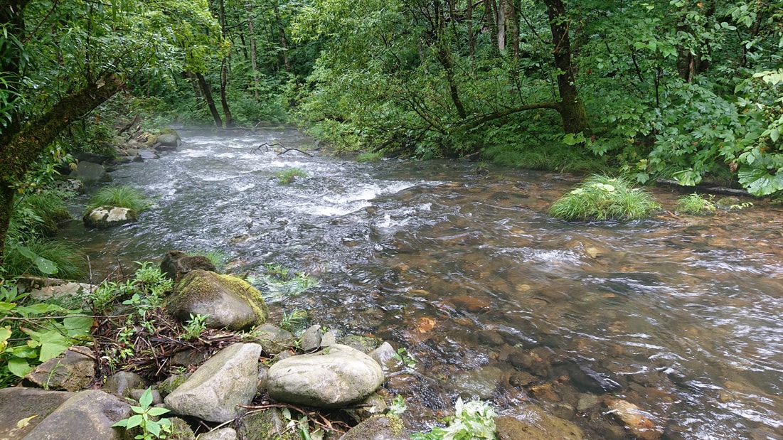 奥奥八九郎温泉10