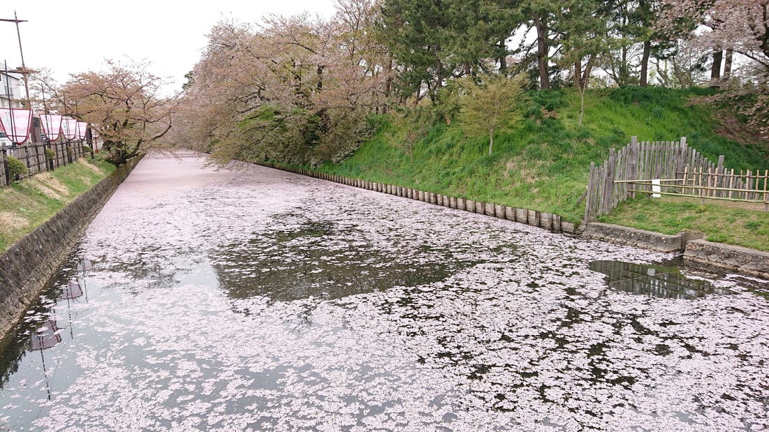 弘前公園3