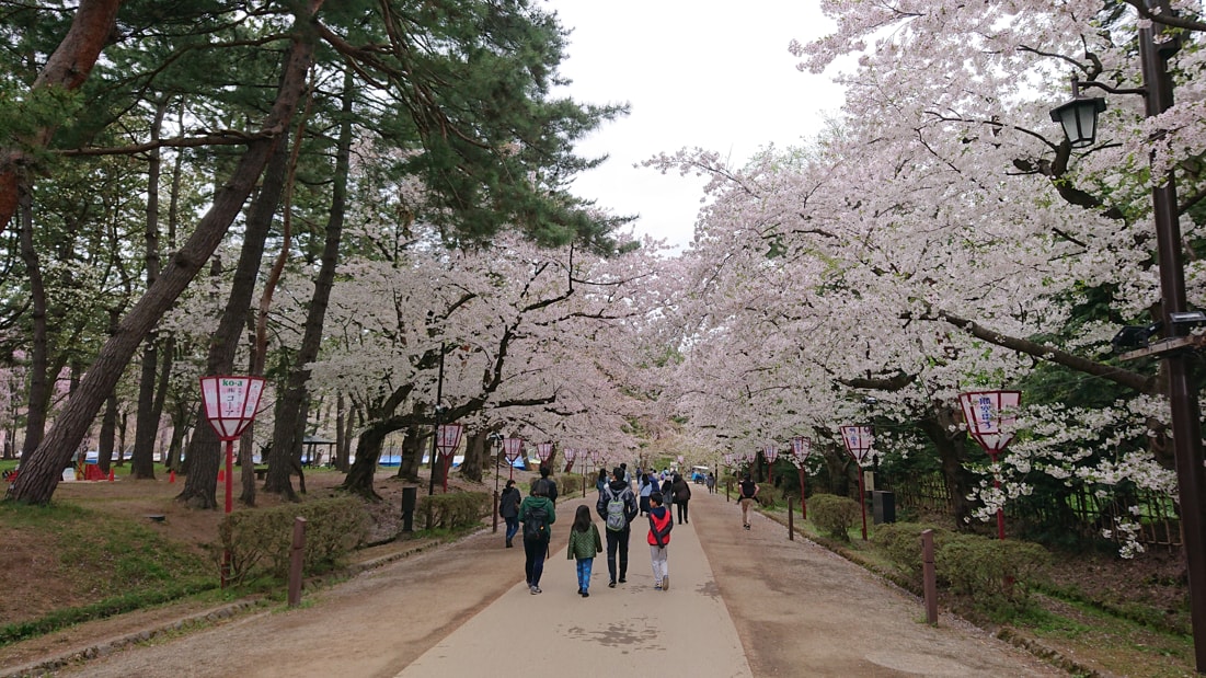弘前公園8