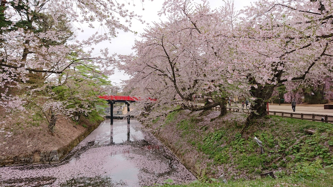 弘前公園12