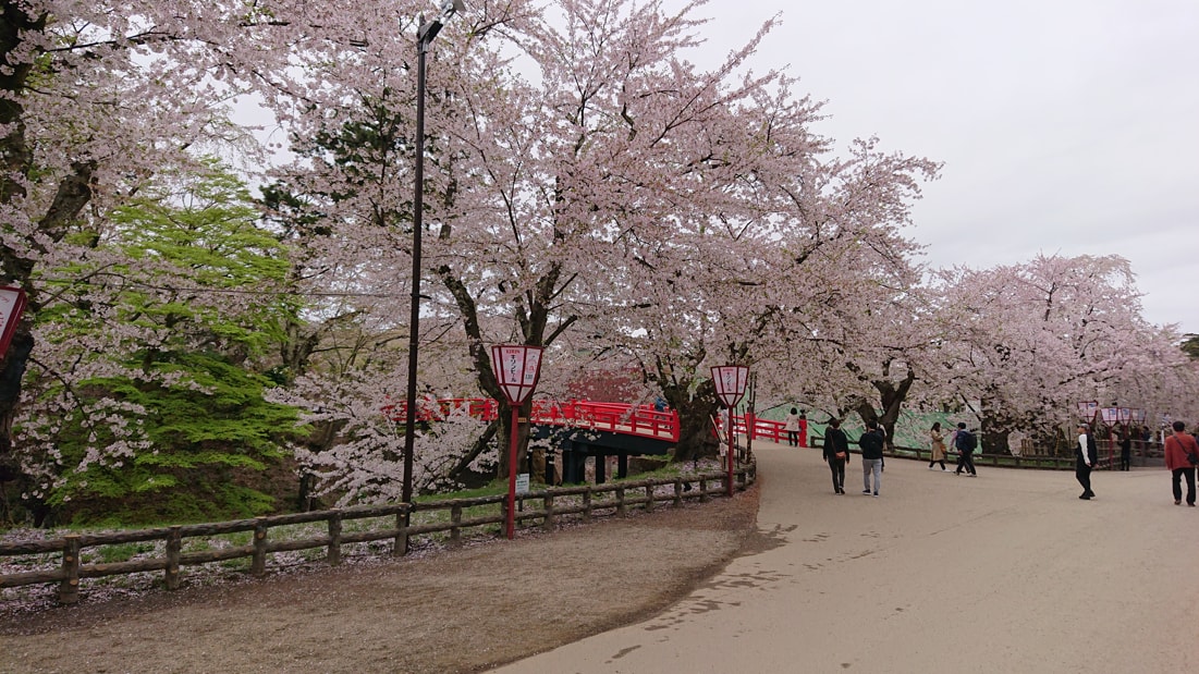 弘前公園14