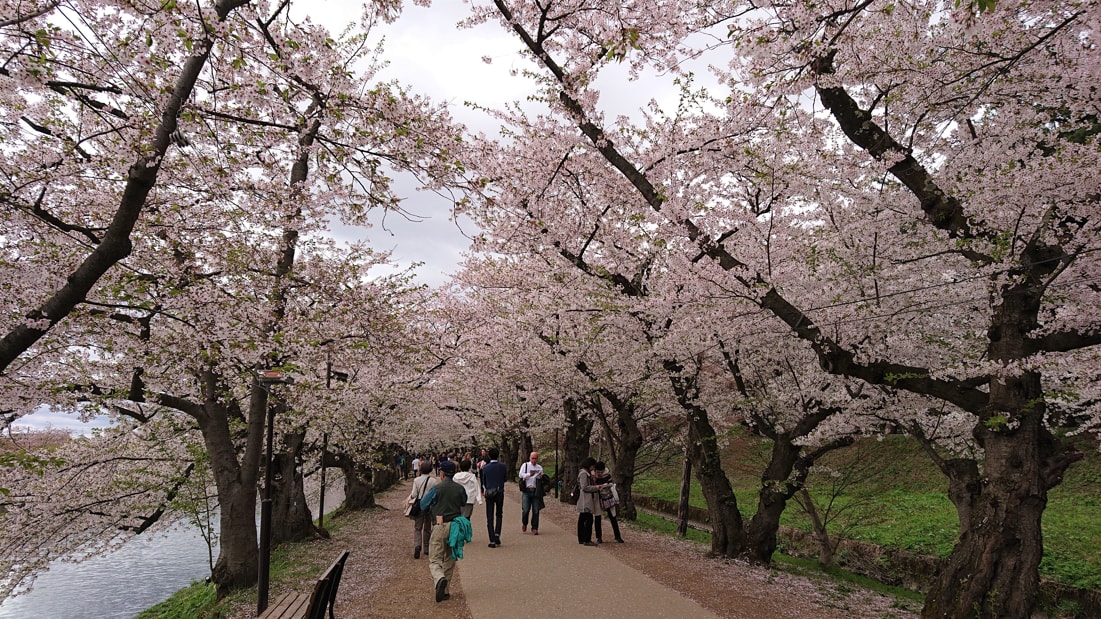 弘前公園19